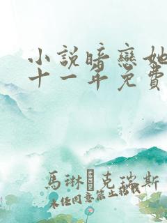 小说暗恋她的第十一年免费