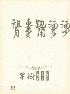 租车跑滴滴一个月费用多少钱
