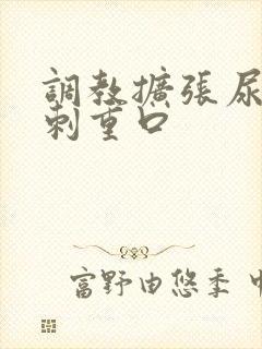 调教扩张尿孔针刺重口