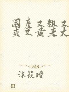 国产又粗又猛又爽又黄老大爷