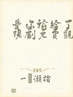 爱你输给了谁电视剧免费观看