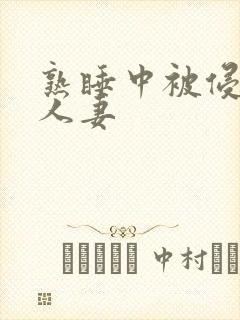熟睡中被侵犯的人妻