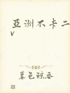 亚洲不卡二三av