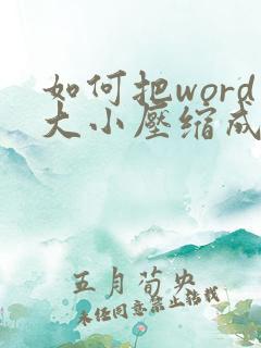如何把word大小压缩成5兆以内