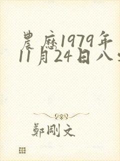 农历1979年11月24日八字