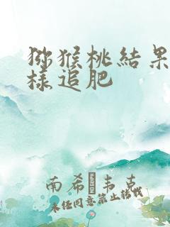 猕猴桃结果期怎样追肥