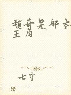赵奇是哪本小说主角