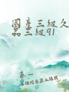 国产三级久久精品三级91