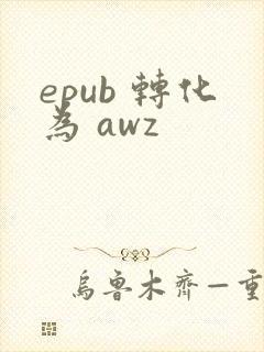 epub 转化为 awz