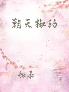 朝天椒的
