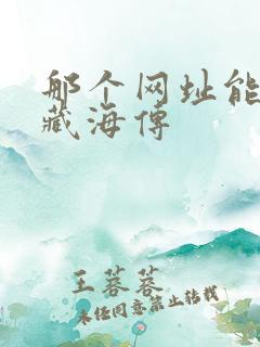 那个网址能看到藏海传