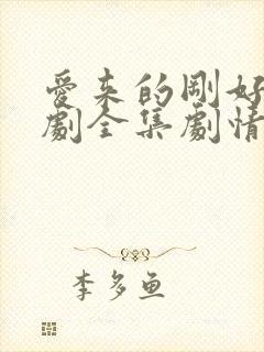 爱来的刚好电视剧全集剧情介绍