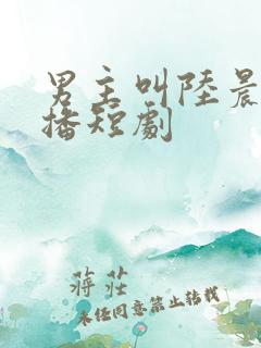男主叫陆晨的热播短剧