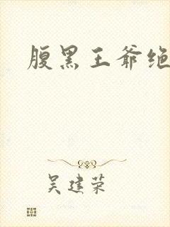 腹黑王爷绝世妃