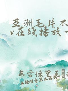 亚洲毛片不卡av在线播放一区二区
