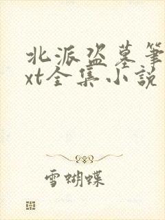 北派盗墓笔记txt全集小说