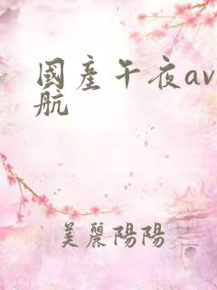 国产午夜av导航
