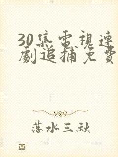 30集电视连续剧追捕免费观看