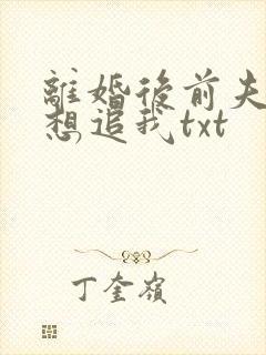 离婚后前夫总是想追我txt