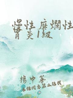 慢性糜烂性胃窦胃炎1级