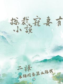 总裁宠妻有点甜 小说