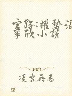 官路:权势滔天宁欣小说