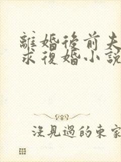 离婚后前夫哭着求复婚小说完本免费阅读