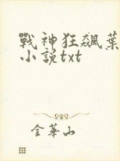 战神狂飙叶无缺小说txt
