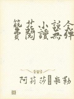 簪花小说全文免费阅读无弹窗