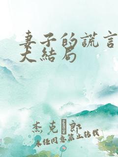 妻子的谎言几集大结局