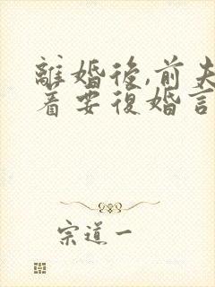 离婚后,前夫赖着要复婚言情小说