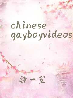chinesegayboyvideos