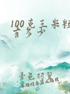 100克玉米粒有多少