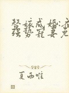 替嫁成婚:夜少强势宠妻免费阅读