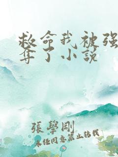 救命我被强取豪夺了小说
