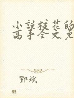 小说校花的贴身高手全文免费阅读