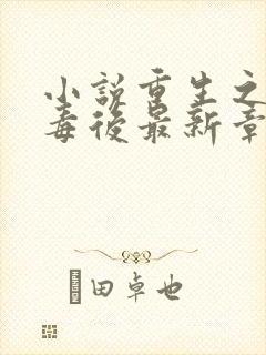 小说重生之将门毒后最新章节列表列表
