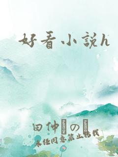 好看小说h