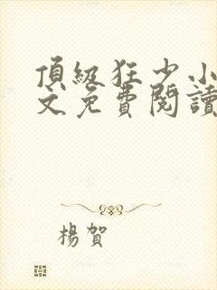顶级狂少小说全文免费阅读