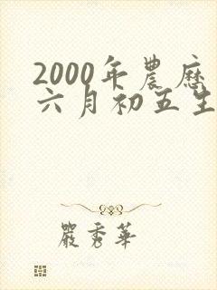 2000年农历六月初五生辰八字