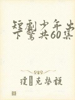 短剧少年出拳天下惊共60集在线观看