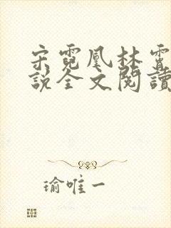 宋霓凰林霄泽小说全文阅读