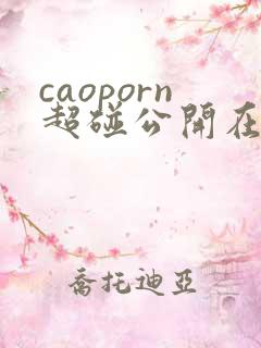 caoporn超碰公开在线