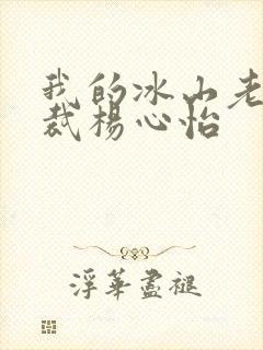 我的冰山老婆总裁杨心怡