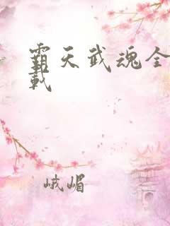 霸天武魂全本下载