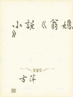 小说《翁媳乱情》