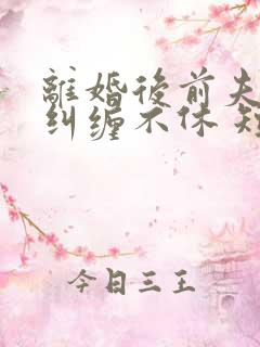 离婚后前夫老公纠缠不休 短剧