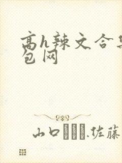 高h辣文合集书包网