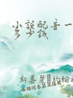 小说配音一个月多少钱