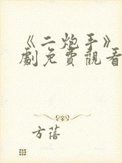 《二炮手》电视剧免费观看